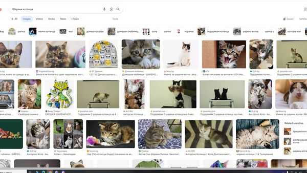 8 компьютерных трюков, о которых вы хотели бы знать 8 компьютерных трюков, о которых вы хотели бы знать