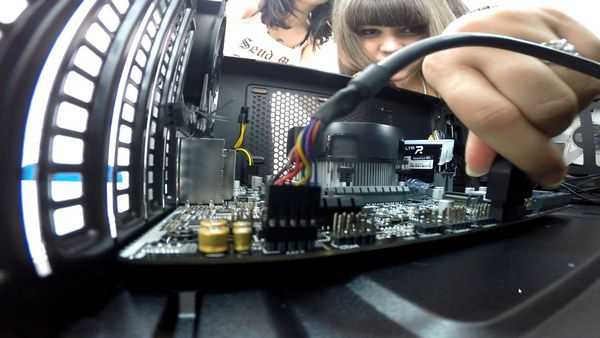 Девушки собирают игровой ПК Девушки собирают игровой ПК