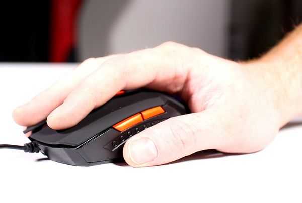 Игровой набор Canyon Leonof Игровой набор Canyon Leonof