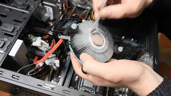 Как заменить термопасту на компьютере Как заменить термопасту на компьютере