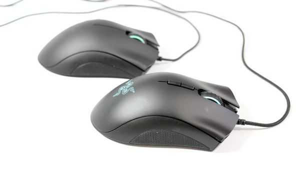Обзор и сравнение Razer Deathadder Expert и Elite Обзор и сравнение Razer Deathadder Expert и Elite