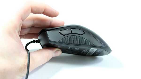 Обзор и сравнение Razer Deathadder Expert и Elite Обзор и сравнение Razer Deathadder Expert и Elite