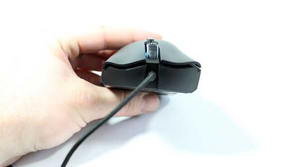 Обзор и сравнение Razer Deathadder Expert и Elite Обзор и сравнение Razer Deathadder Expert и Elite