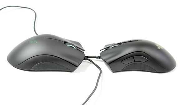 Обзор и сравнение Razer Deathadder Expert и Elite Обзор и сравнение Razer Deathadder Expert и Elite