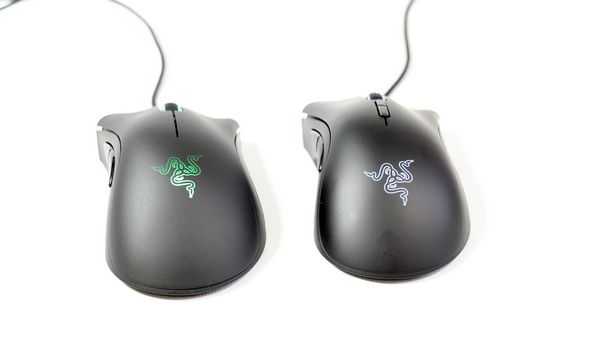 Обзор и сравнение Razer Deathadder Expert и Elite Обзор и сравнение Razer Deathadder Expert и Elite