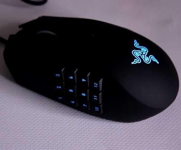 Обзор игровой мыши razer naga chroma для mmorpg Обзор игровой мыши razer naga chroma для mmorpg