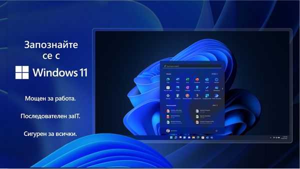 Windows 11 Windows 11
